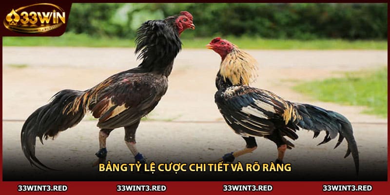 Bảng tỷ lệ cược chi tiết và rõ ràng