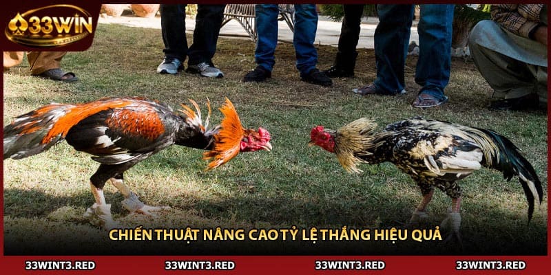 Chiến thuật nâng cao tỷ lệ thắng hiệu quả