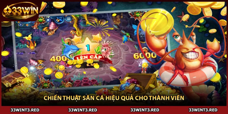 Chiến thuật săn cá hiệu quả cho thành viên